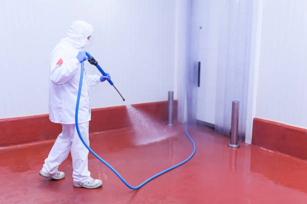 Best Soft Washing  in Franklin Grove, IL