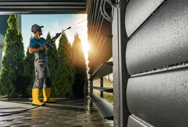 Best Spring Cleaning  in Franklin Grove, IL
